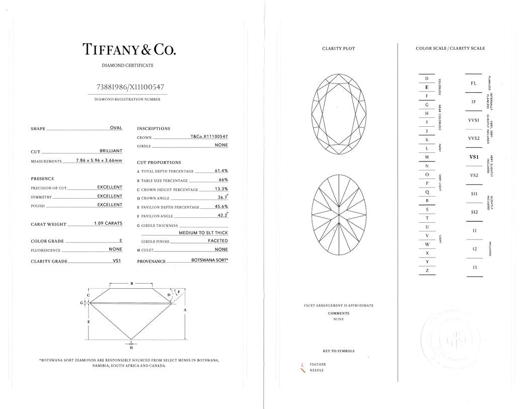 Tiffany & Co. Contemporary 1.09 CT Oval Cut Diamond Platinum Solitaire Ring