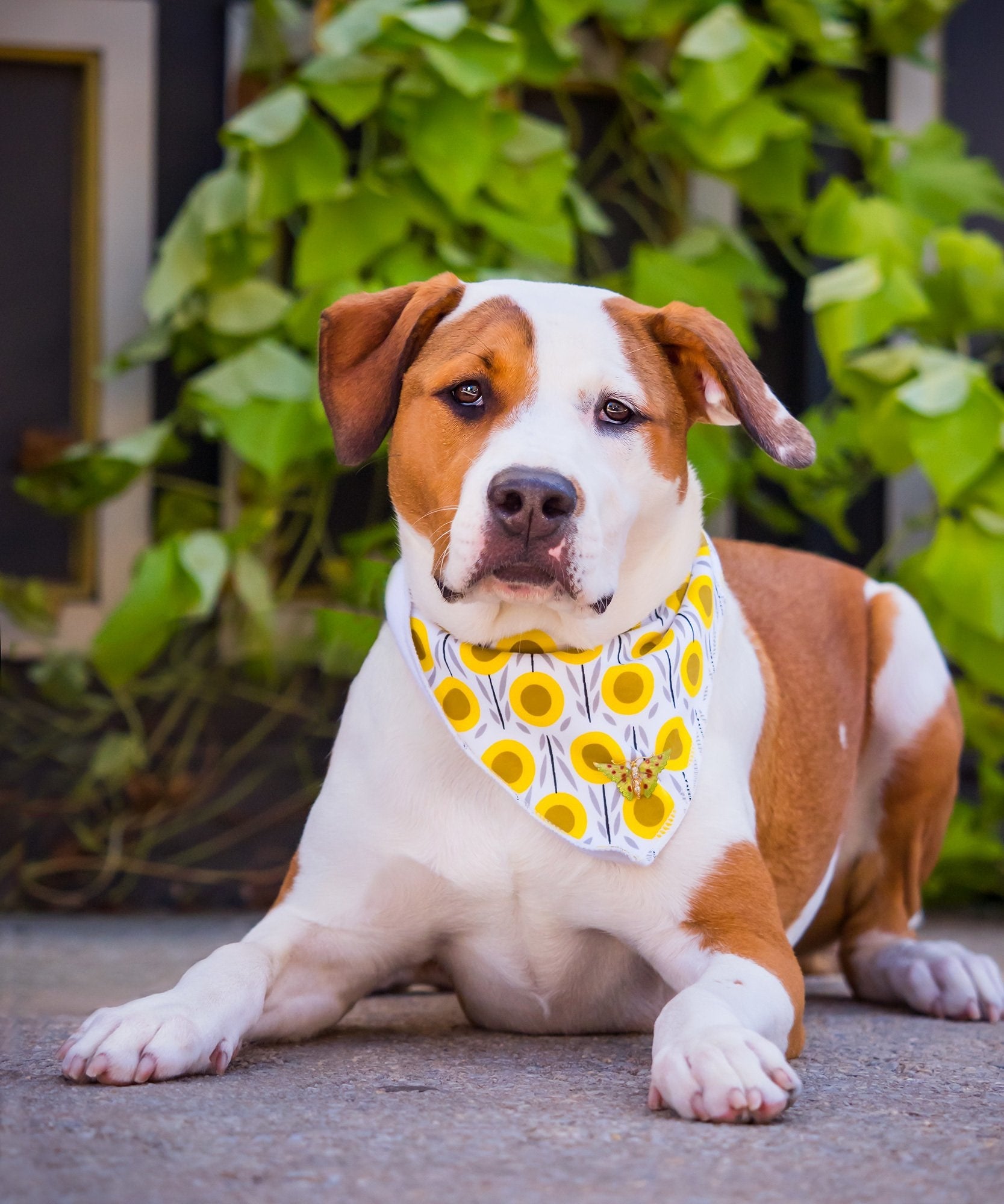 Victorian 0.60 CTW Diamond Enamel 14 Karat Gold Butterfly Brooch Wilson's Estate Jewelry