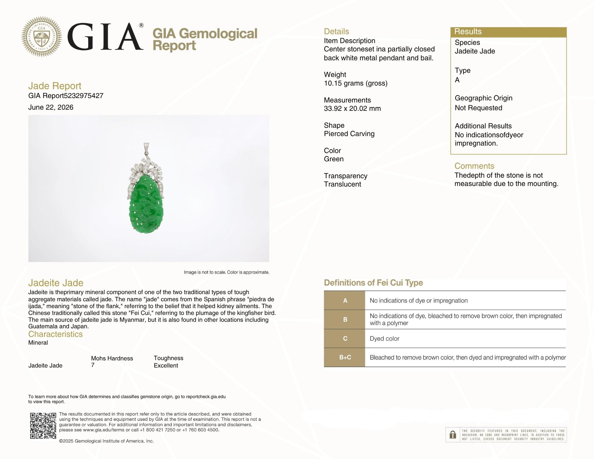 Jadeite Jade Diamond 18K White Gold Carved Dragon Pendant GIA