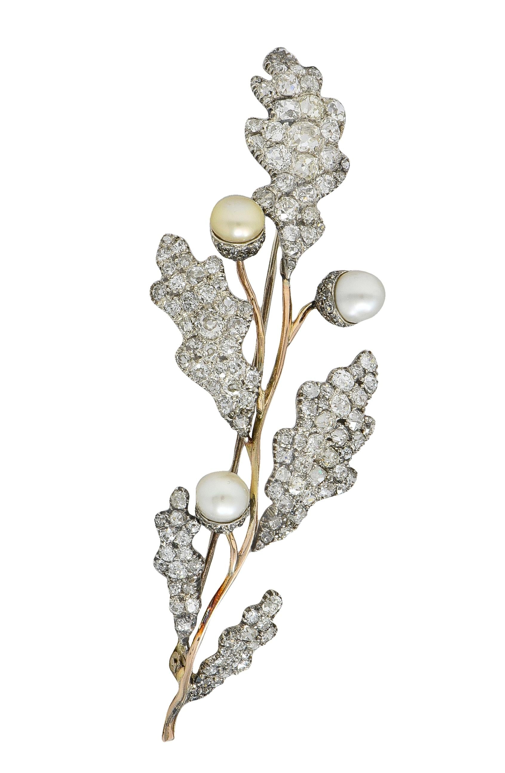 Victorian Natural Pearl Diamond 14K Gold Silver Antique Acorn Branch Brooch