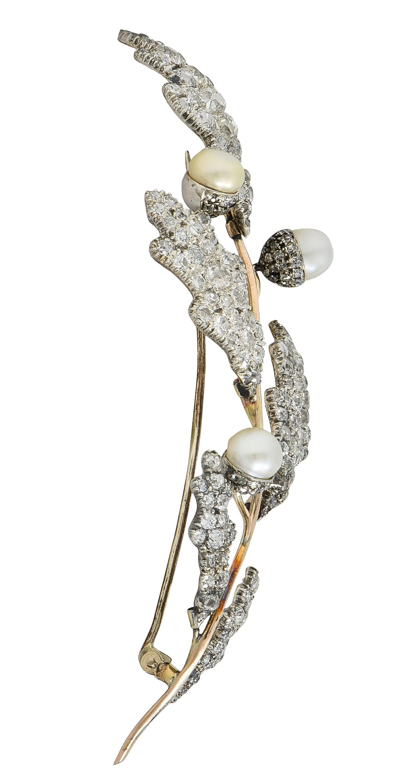 Victorian Natural Pearl Diamond 14K Gold Silver Antique Acorn Branch Brooch