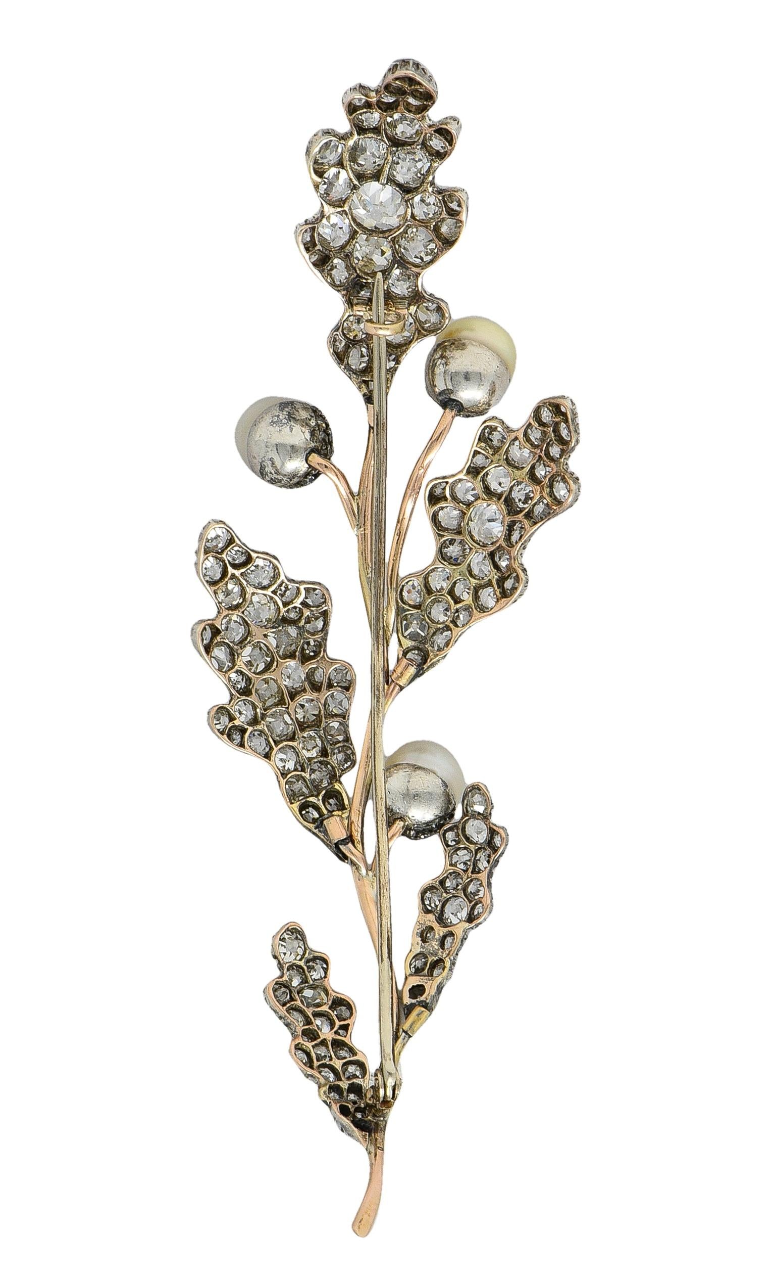 Victorian Natural Pearl Diamond 14K Gold Silver Antique Acorn Branch Brooch