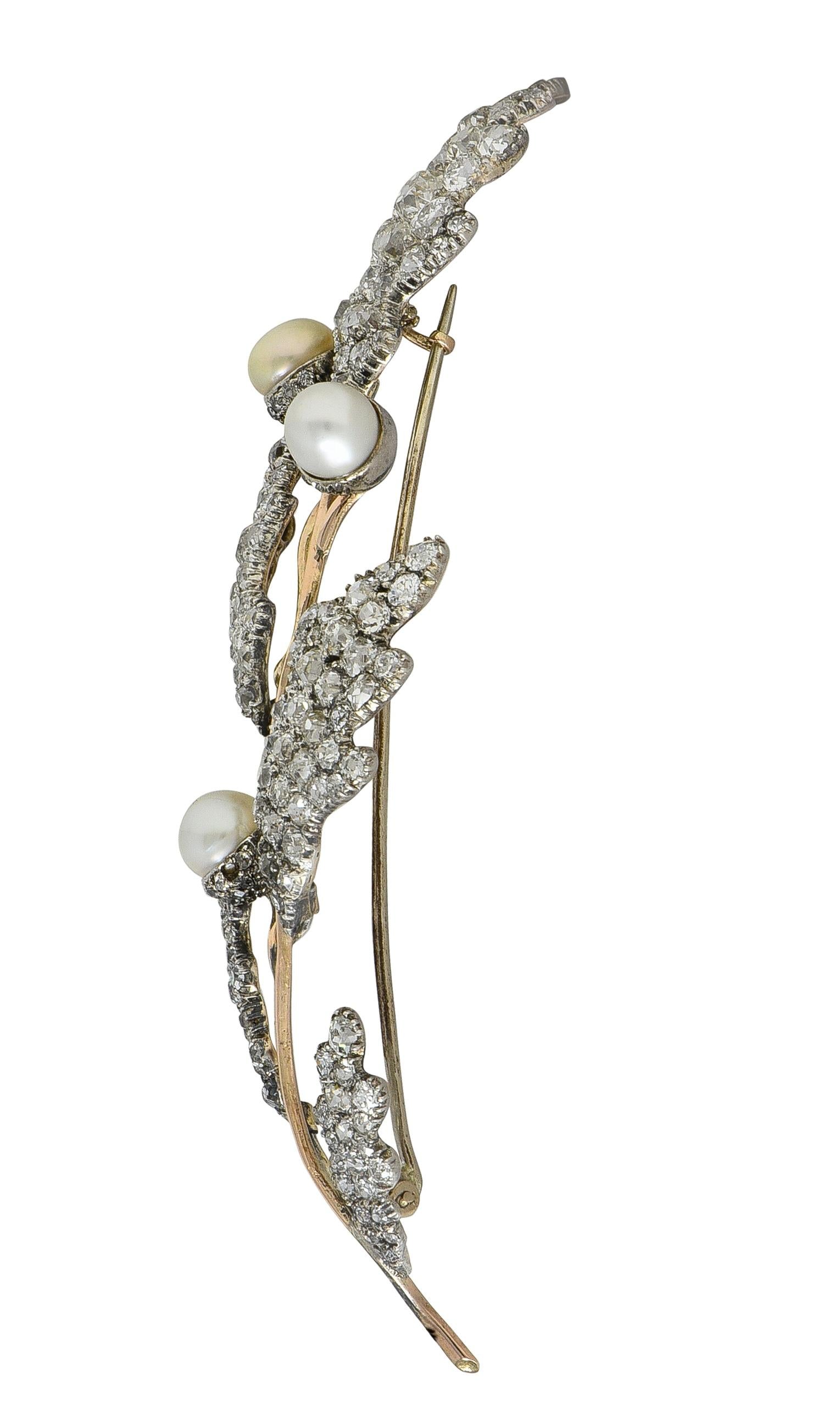 Victorian Natural Pearl Diamond 14K Gold Silver Antique Acorn Branch Brooch