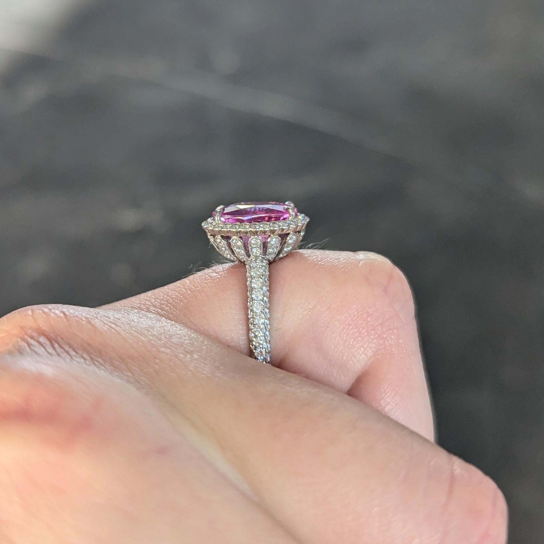 Tiffany & Co. 4.91 CTW Ceylon Pink Sapphire Diamond Platinum Halo Ring GIA